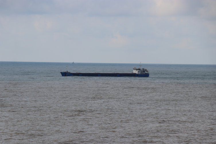 Zonguldak'ta sağanağın ardından denizin rengi kahverengiye döndü
