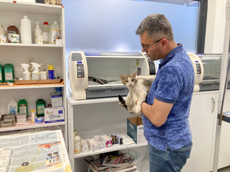 Üzerine ağda bantları yapıştırılan kedi, Üsküdar Belediyesi ekiplerince tedaviye alındı