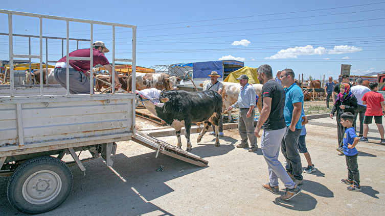 Kurban pazarlarında arife günü hareketliliği