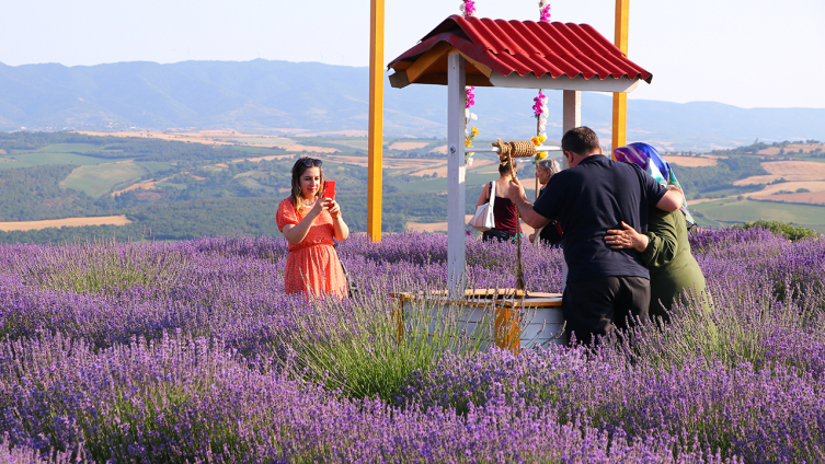 Tekirdağ'da mor tarlalar bayramda ziyaretçi çekiyor