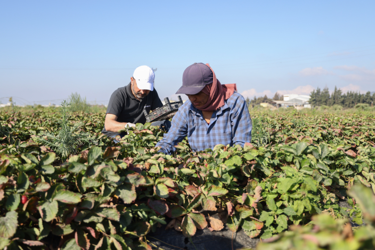 Depremzede çiftçilere 'Hayat' eli uzandı