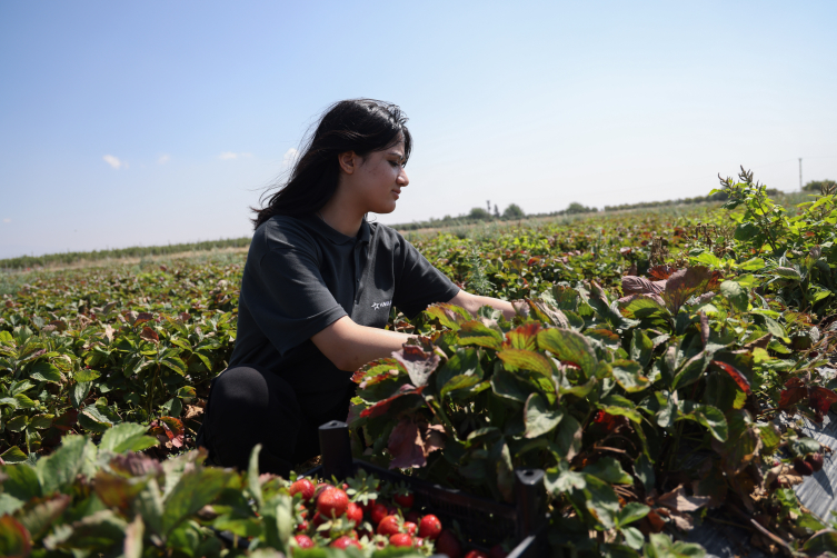 Depremzede çiftçilere 'Hayat' eli uzandı
