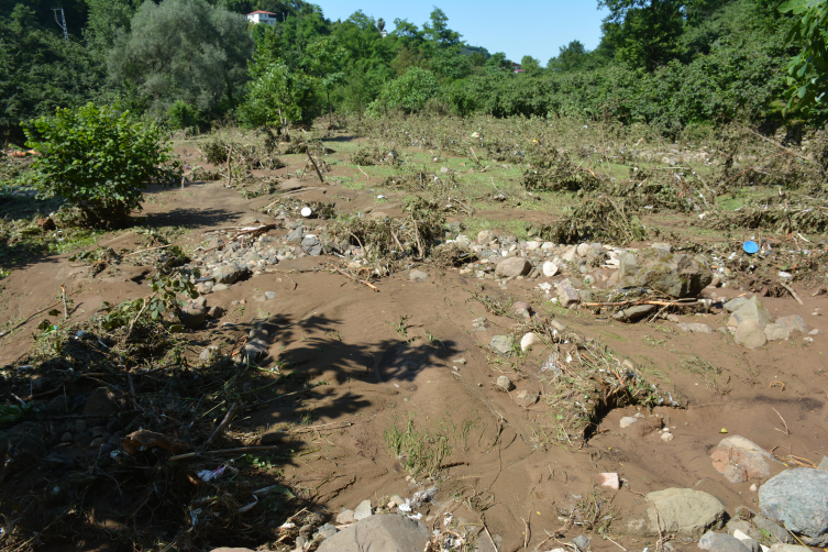 Giresun'da şiddetli yağış nedeniyle taşan dere, fındık bahçelerine zarar verdi