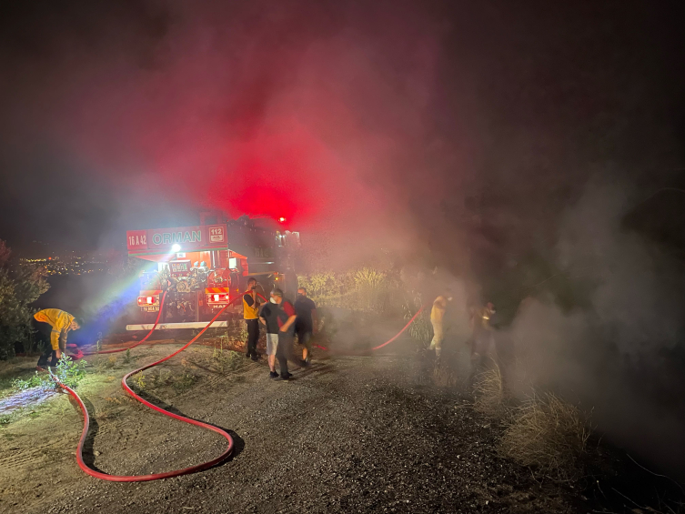 Bursa'da orman yangını: 1 gözaltı