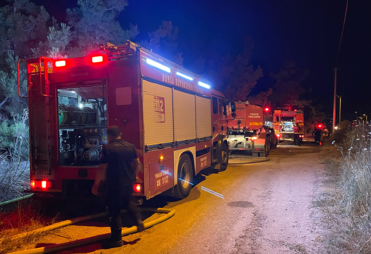 Bursa'da orman yangını: 1 gözaltı