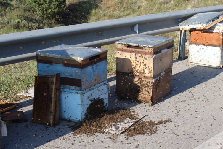 Arı yüklü kamyonetin devrilmesi sonucu arılar etrafa dağıldı