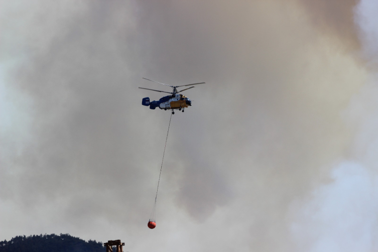 Tarım ve Orman Bakanı Yumaklı: Şu anda bir risk olmadığını söyleyebilirim