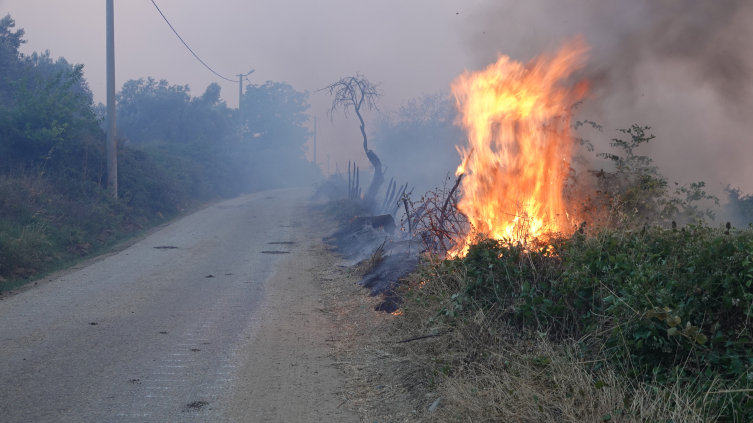 Çanakkale'deki orman yangını: Vatandaşlar tahliye ediliyor