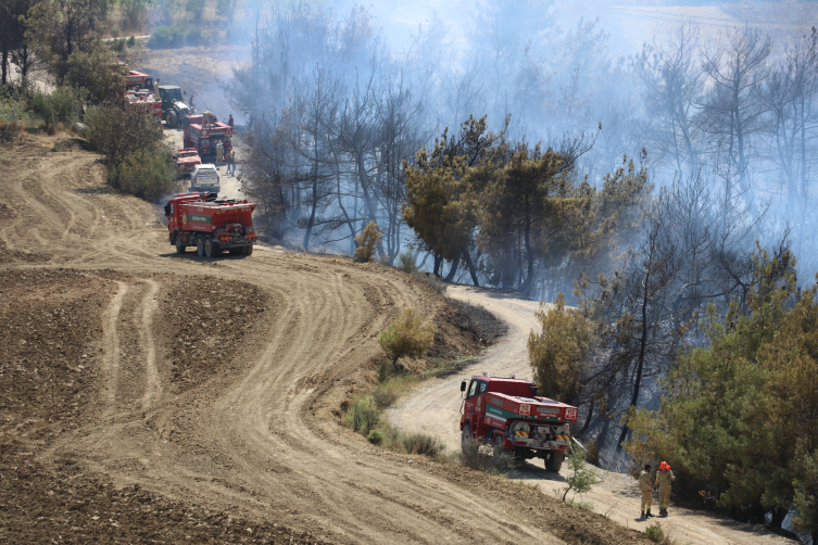 Adana'daki orman yangını kontrol altında