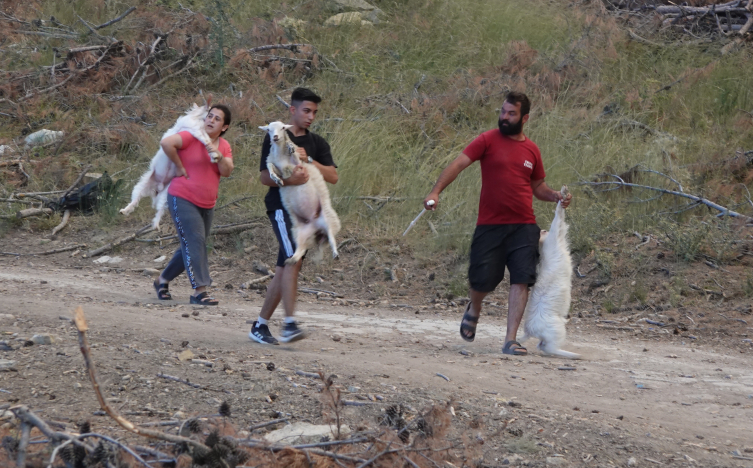 Çanakkale'de 2 noktada alevlerle mücadele sürüyor