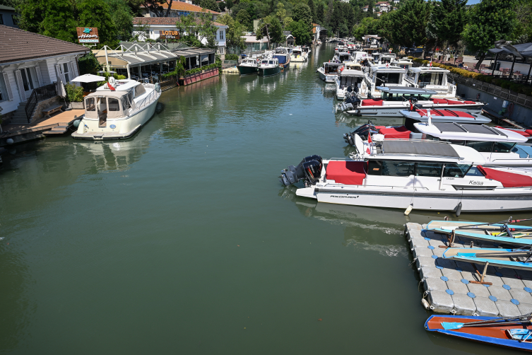 İstanbul'daki dereler Boğaz'ı ve Marmara Denizi'ni kirletiyor
