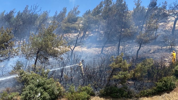 Hatay'daki orman yangını söndürüldü