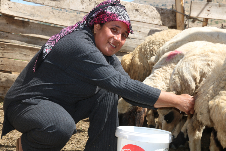 Depremde hayvanları telef olan kadın besici devlet desteğiyle ayağa kalktı