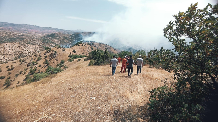 3 ildeki orman yangınları sürüyor