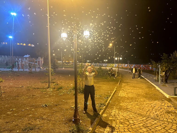 Ardahan'da "bir günlükler"in "ölüm uçuşu" sürüyor