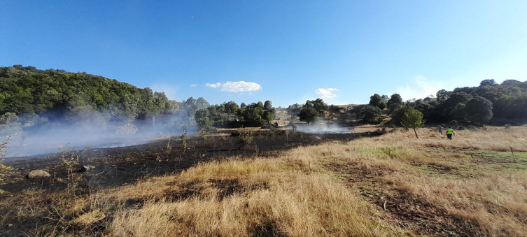 Tokat'ta çıkan anız yangını söndürüldü