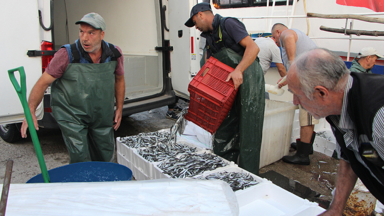 Güney Marmara'da av sezonu bereketli başladı
