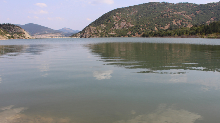 Karabük'te göletlere sazan yavrusu bırakıldı