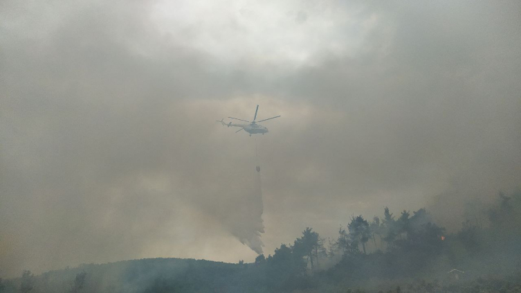 Bursa'da orman yangını kontrol altında