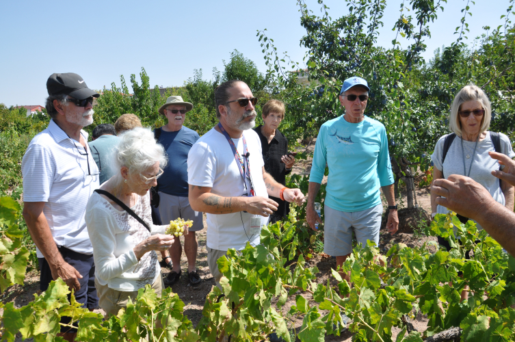 ABD'li turistler Kapadokya'da köy hayatını deneyimliyor