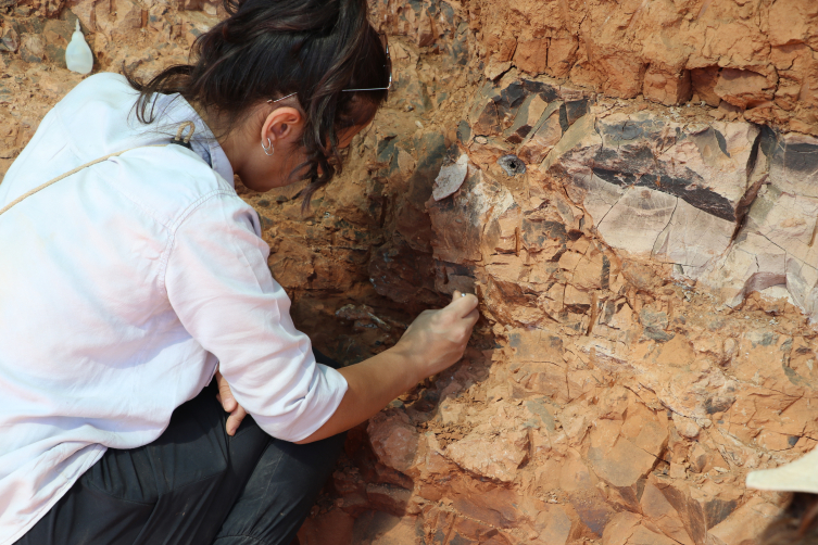 Denizli'de 9 milyon yıllık hayvan fosilleri bulundu