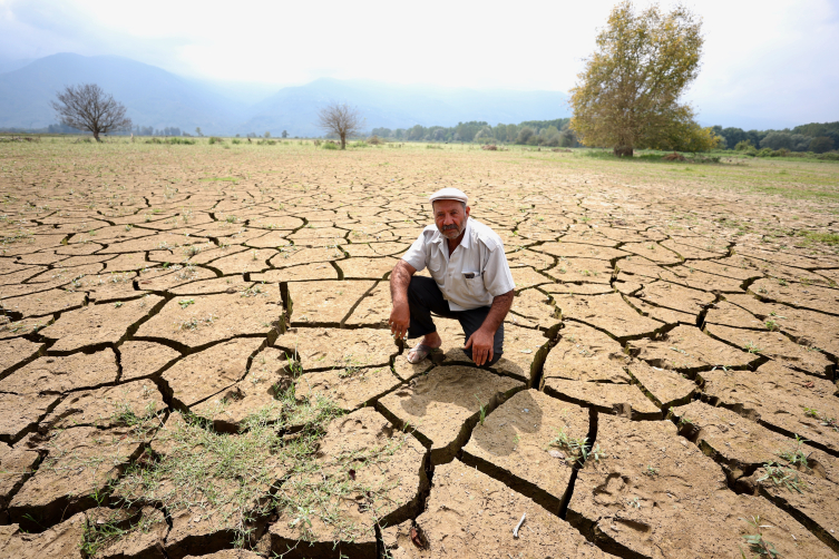 Düzce'de 'mil kuraklığı' tarım alanı ve meraları etkiledi