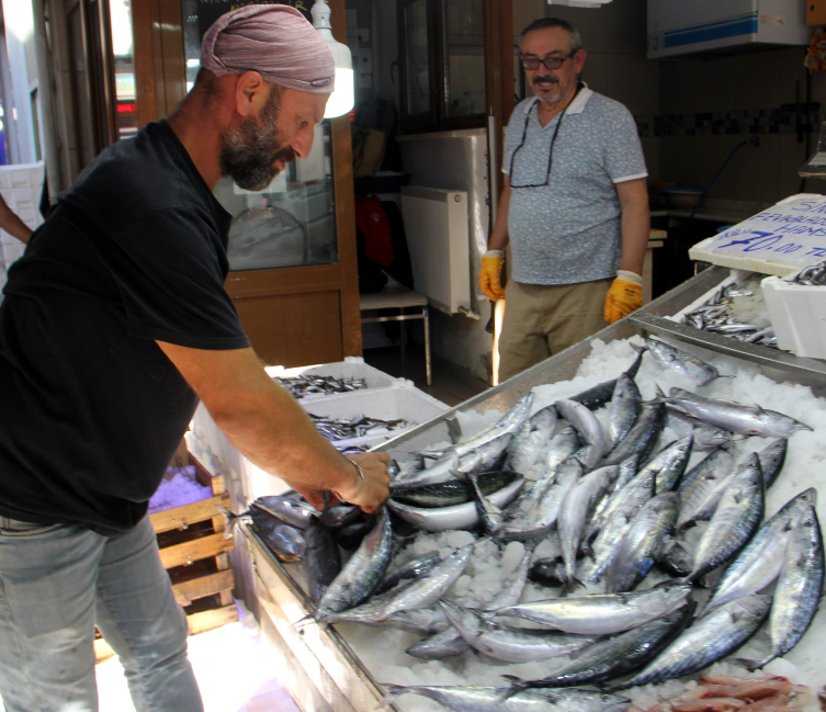 Karadeniz'de palamut bolluğu