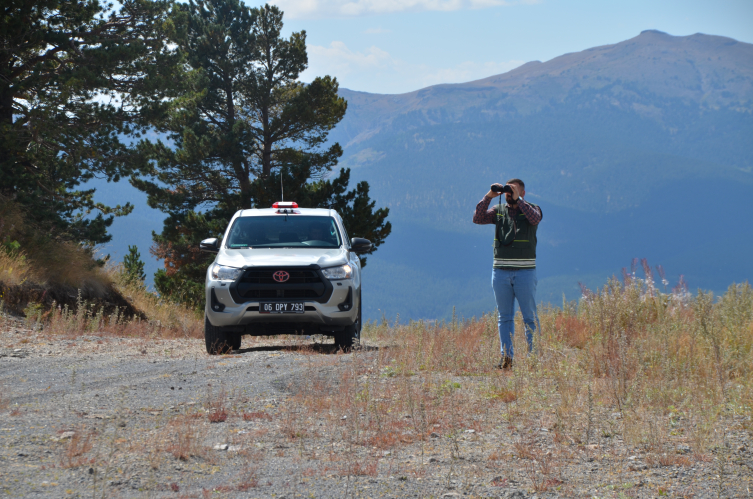 Sarıçam ormanları yangınlara karşı korunuyor