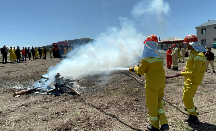 Sarıçam ormanları yangınlara karşı korunuyor