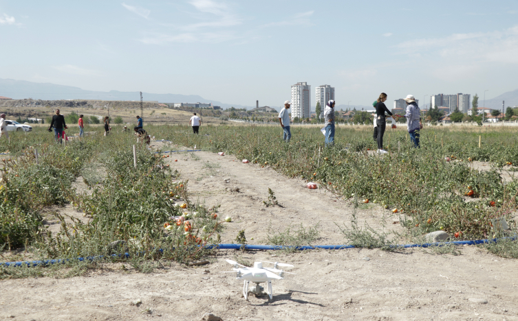 Dolu hasarı yapay zeka ile belirlenecek