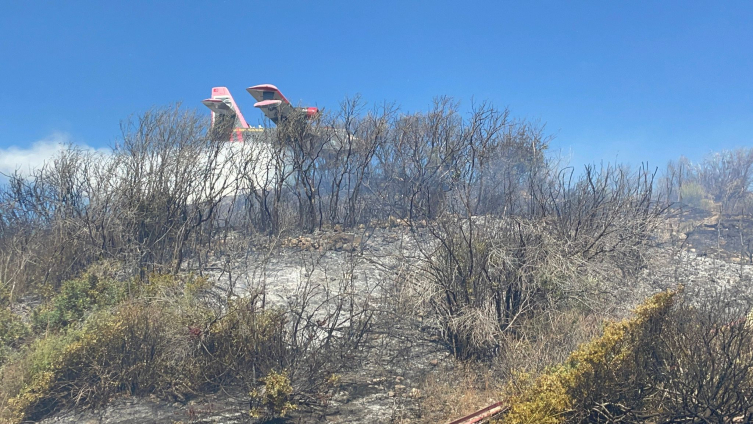 Aydın'da makilik alanda yangın