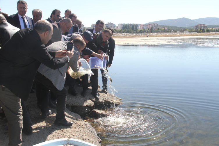 Beyşehir Gölü'ne 2 milyon sazan balığı bırakıldı