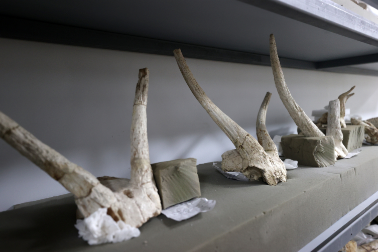 İç Anadolu'daki medeniyetlerin izleri gün yüzüne çıkarılıyor