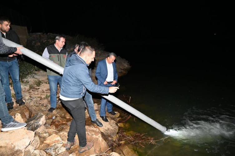 Seydişehir'de 1 milyon yavru sazan balığı bırakıldı