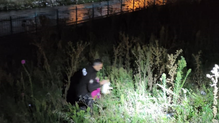 Derede mahsur kalan kediyi bekçiler kurtardı