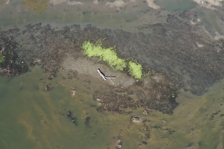 Meriç ve Tunca nehirlerinin debisi dip seviyede