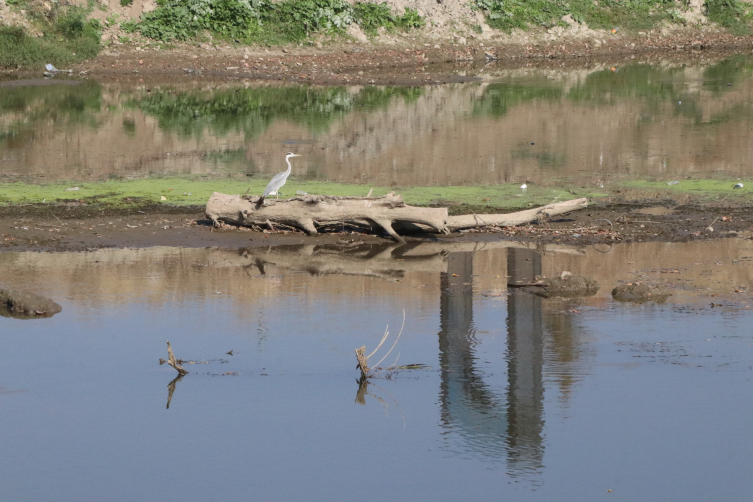 Meriç ve Tunca nehirlerinin debisi dip seviyede