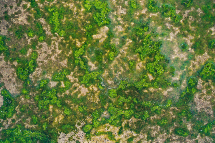 İstanbul barajları alarm veriyor