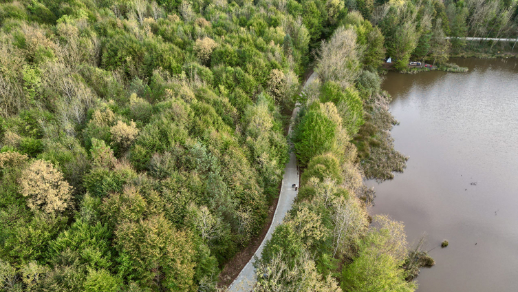 Korugöl Tabiat Parkı'nda sonbahar renkleri