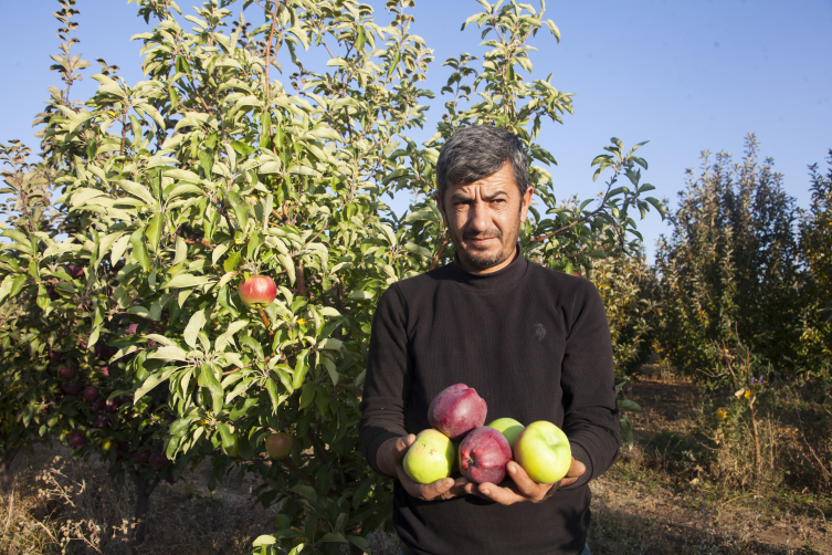 Devlet desteğiyle kurduğu elma bahçesinden 180 ton verim aldı - Son Dakika Haberleri