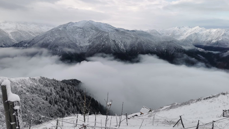 Rize ve Ardahan'ın yüksek kesimleri beyaza büründü