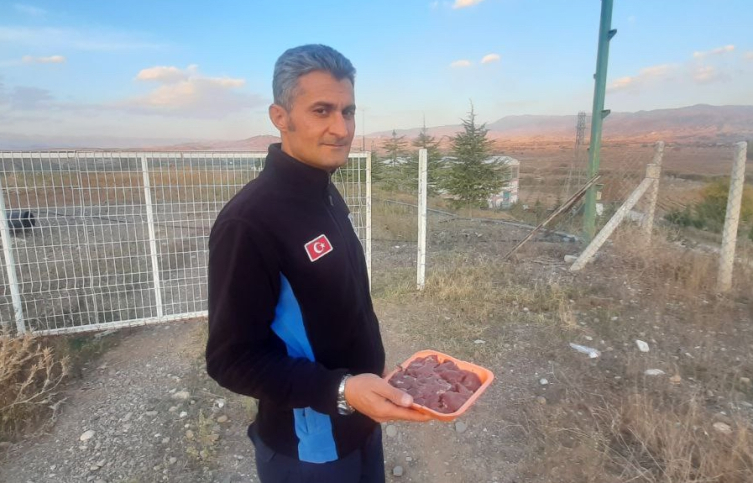 Göç etmeyen leyleği belediye ekipleri besliyor