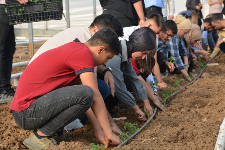 Şırnak'ta ihtiyaç sahibi öğrencilere destek için serada domates yetiştirilecek
