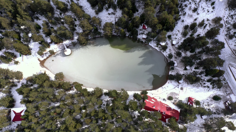 Limni Gölü Tabiat Parkı kış mevsiminde yaban hayvanlarına ev sahipliği yapıyor