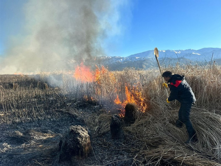 Yüksekova Nehil Sazlığı'nda yangın