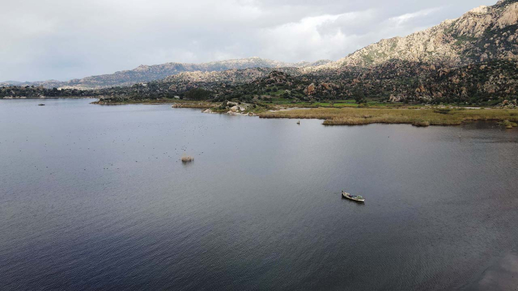 Bafa Gölü yağışlarla birlikte yeniden canlandı