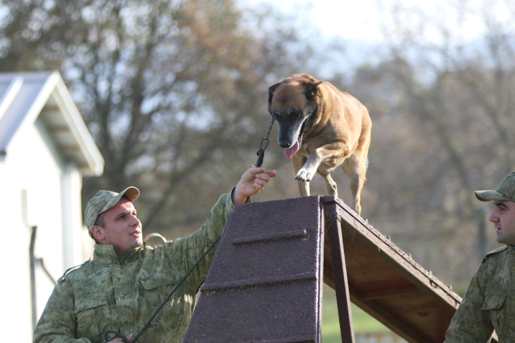 Mehmetçik'in sadık dostları her an göreve hazır