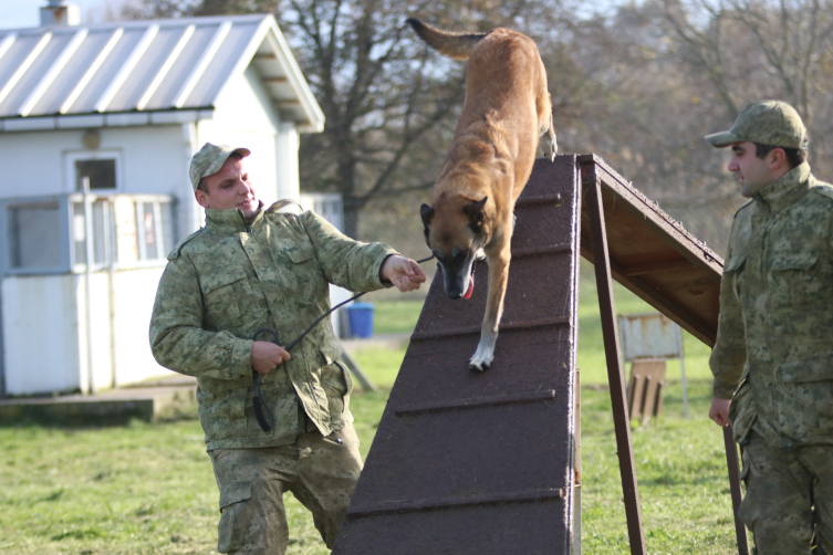 Mehmetçik'in sadık dostları her an göreve hazır