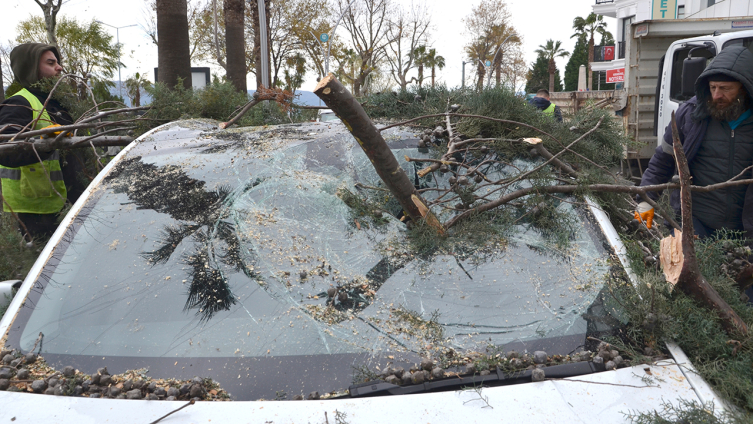 Kocaeli'de fırtına: Deniz taştı, ağaçlar devrildi