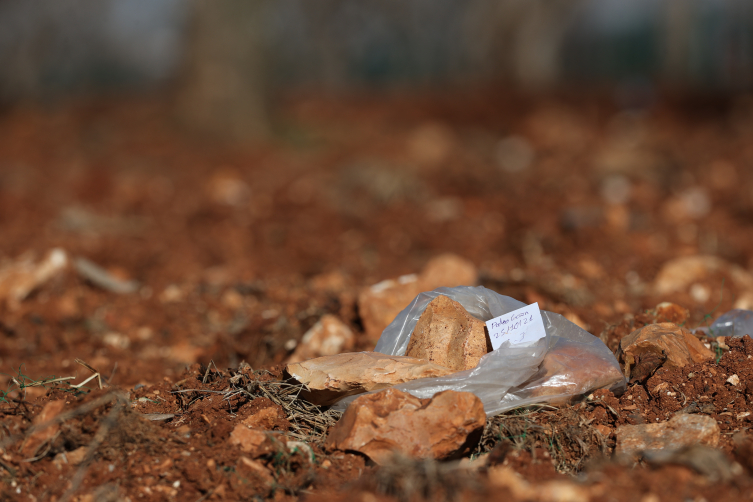 Üniversite yerleşkesinde Paleolitik döneme ait 8 bin eser bulundu